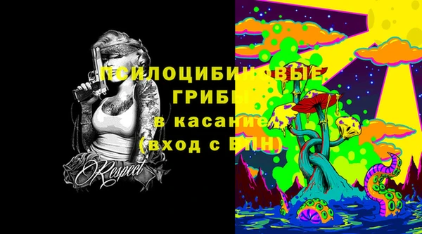 хмурый Абинск