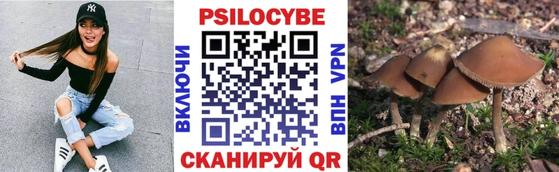 Галлюциногенные грибы мицелий  Тотьма 