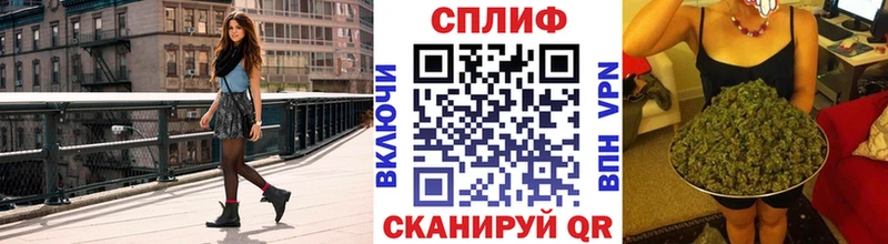 где найти наркотики  Тотьма  Бошки Шишки ГИДРОПОН 